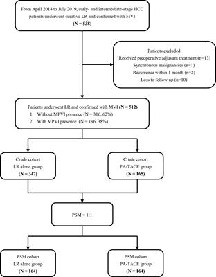 Efficacy of Postoperative Adjuvant Transcatheter Arterial Chemoembolization in Hepatocellular Carcinoma Patients With Microscopic Portal Vein Invasion